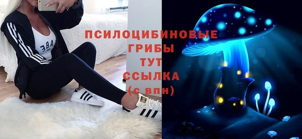 стафф Зерноград