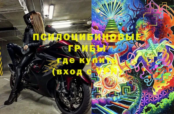 прущий лед Инсар